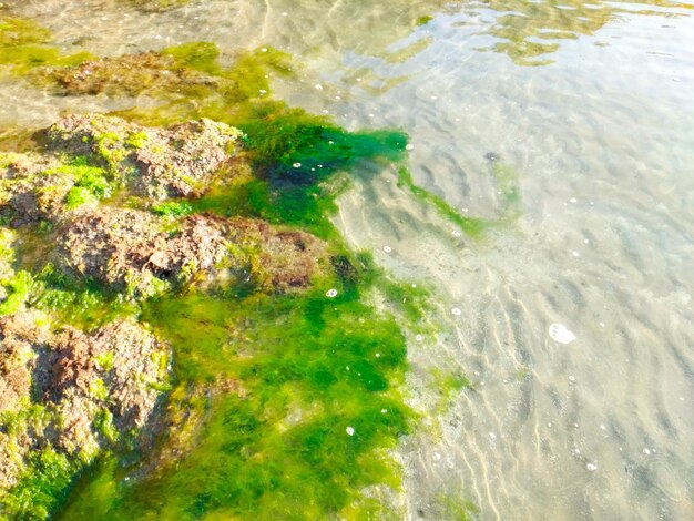 High angle view of beach