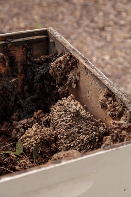 Photo high angle view of beehive