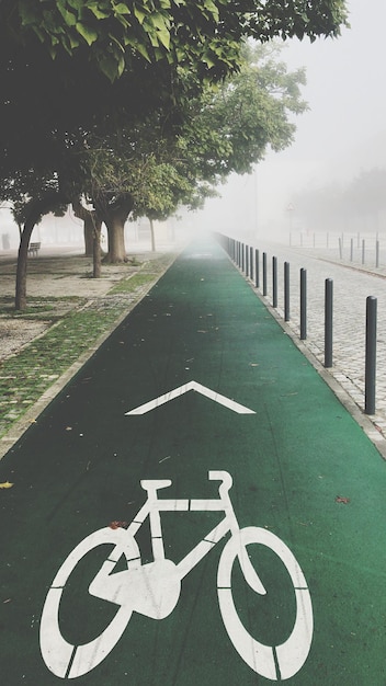 Высокоугольный вид велосипедной полосы в парке во время туманной погоды