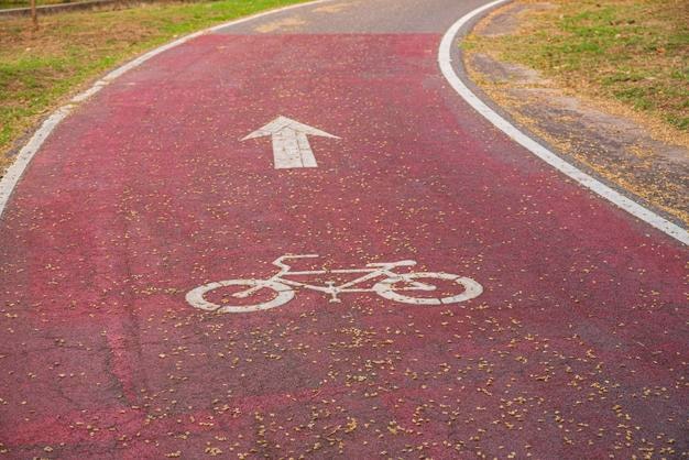 自転車道の高角度の視界