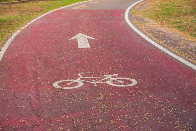 High angle view of bicycle lane