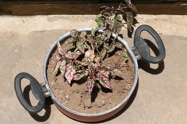 High angle view of bicycle wheel