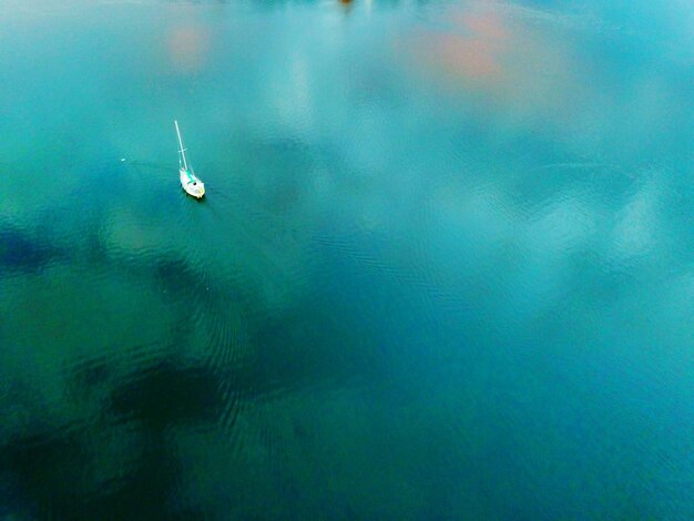 High angle view of bird swimming in sea