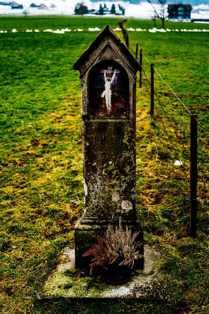 High angle view of birdhouse on grass