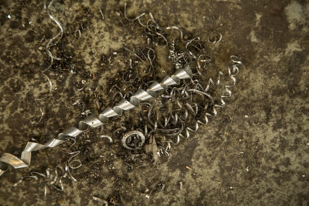 Foto vista ad alto angolo degli uccelli in mare