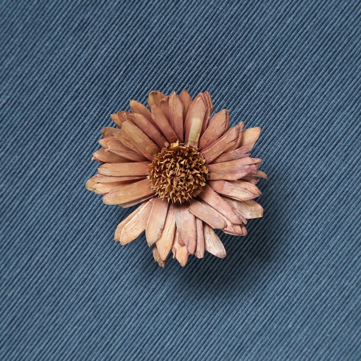 Photo high angle view of blue flower