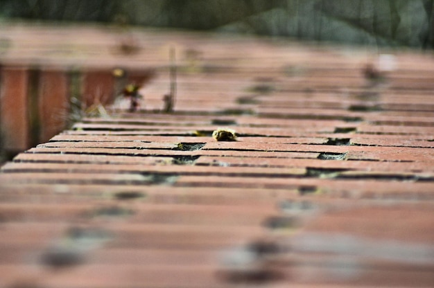 High angle view of boardwalk