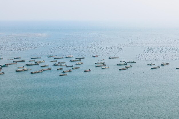 High angle view of boats in sea