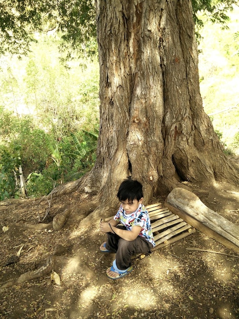 Foto vista ad alta angolazione di un ragazzo seduto vicino a un albero