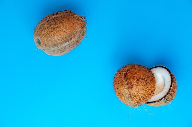 High angle view of bread against blue background