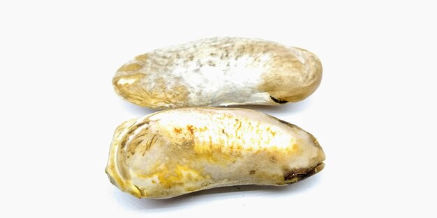  바탕 에 대한  의 높은 각도 뷰