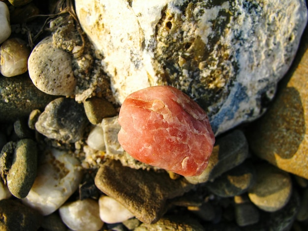 Photo high angle view of bread on rocks