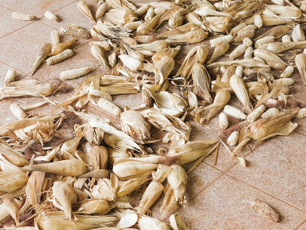 Photo high angle view of bread