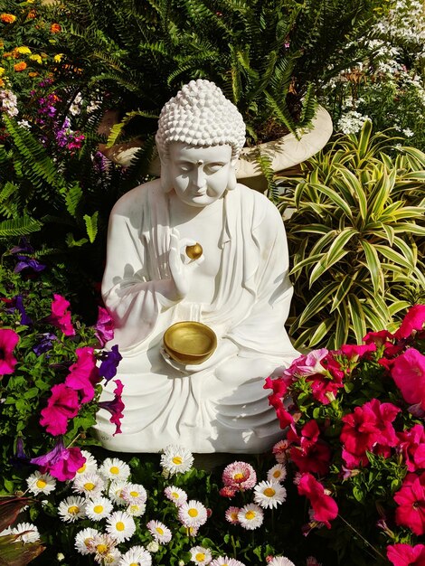 Photo high angle view of buddha statue against plants