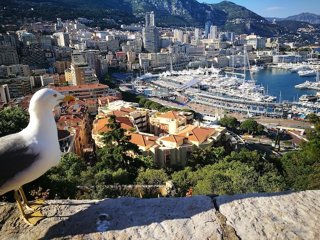 Foto vista ad alta angolazione degli edifici in città