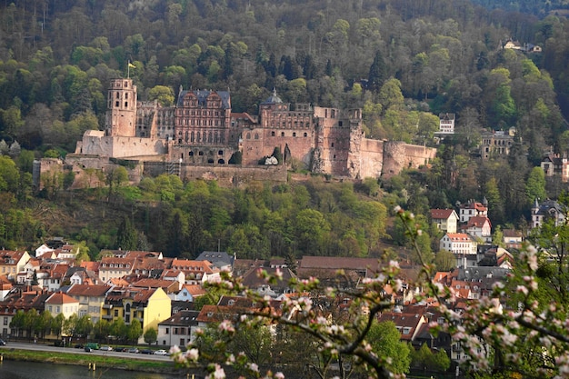 Foto vista ad alto angolo degli edifici in città