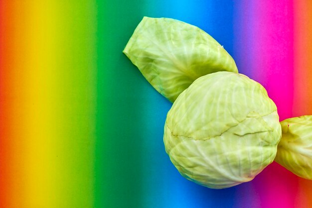 Photo high angle view of cabbage on colored background