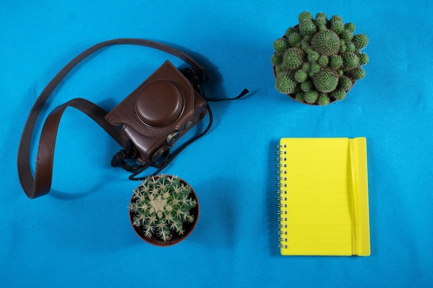 High angle view of camera with plants and book on blue background