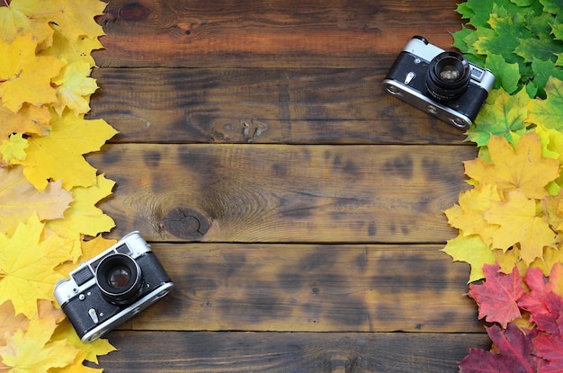 Photo high angle view of cameras and autumn leaves on table