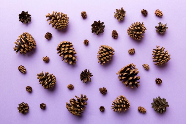 High angle view of candies against white background