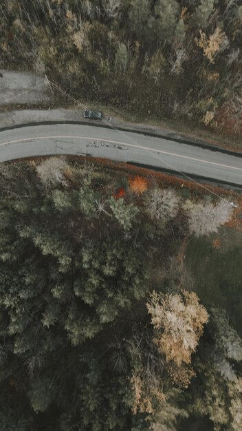 Foto vista ad alto angolo dell'auto sulla strada