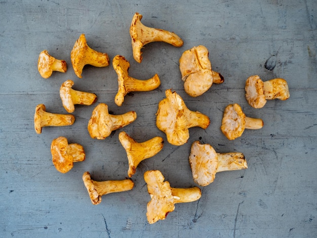 Photo high angle view of chanterelle mushrooms