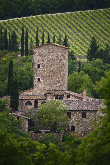 Foto vista ad alto angolo della regione del chianti in italia