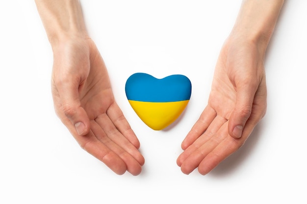 High angle view of child hands holding ukraine flag painted heart isolated on white background