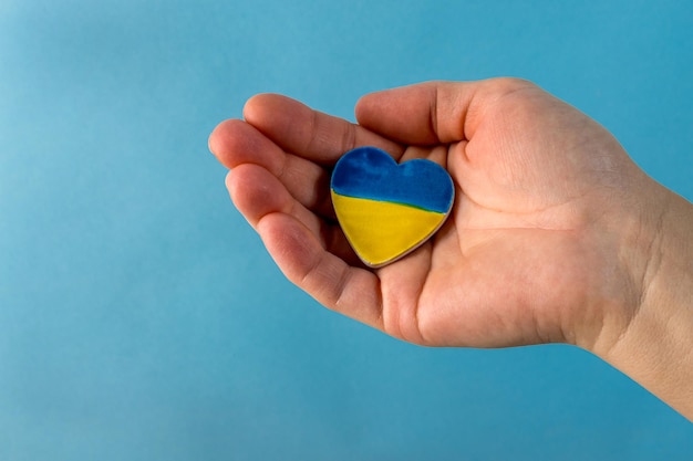 High angle view of child hands holding ukraine flag painted\
heart