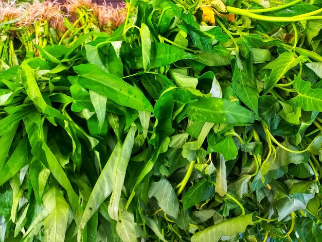 High angle view of chopped leaves