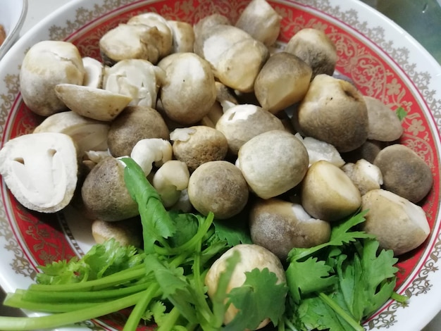 High angle view of chopped vegetables in bowl