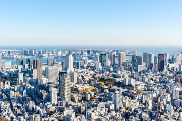 明るい空を背景に都市の建物を高角度で眺める