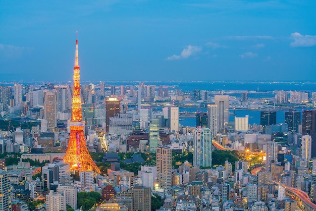 空に照らされた都市景色の高角度の景色