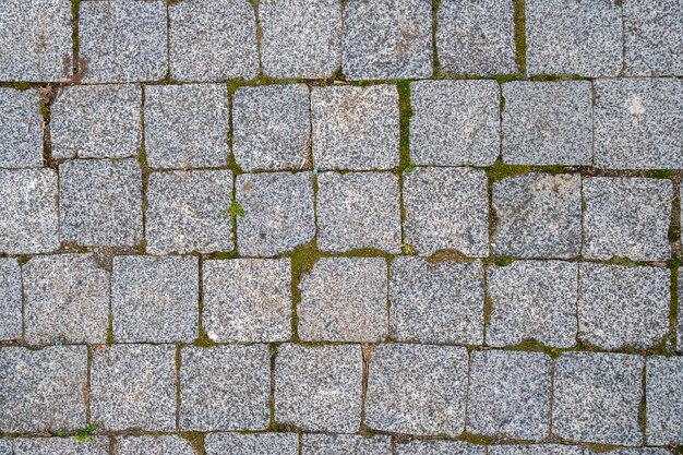 High angle view of cobblestone street