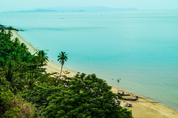 Photo high angle view of coconut palm trees on beach