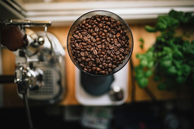 high angle view of coffee beans