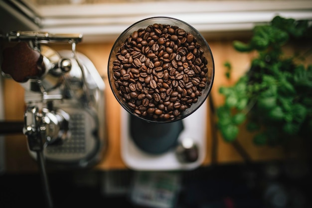 Photo high angle view of coffee beans