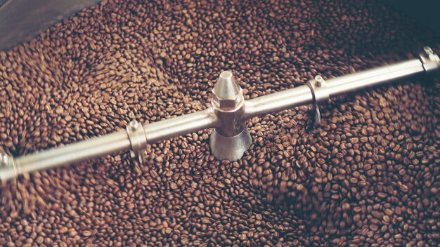 High angle view of coffee beans