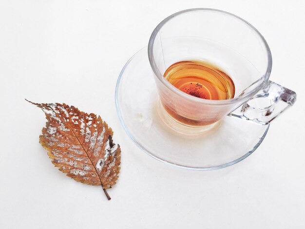 Photo high angle view of coffee and leaf on white background