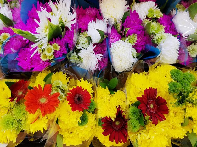 High angle view of colorful flowers in shop