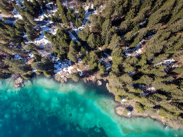 Photo high angle view of coniferous trees by lake