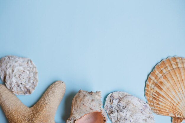 High angle view of cookies on table against blue background