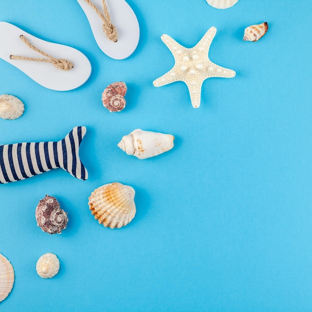 High angle view of cookies