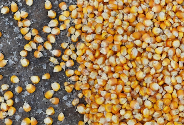 Photo high angle view of corn kernels