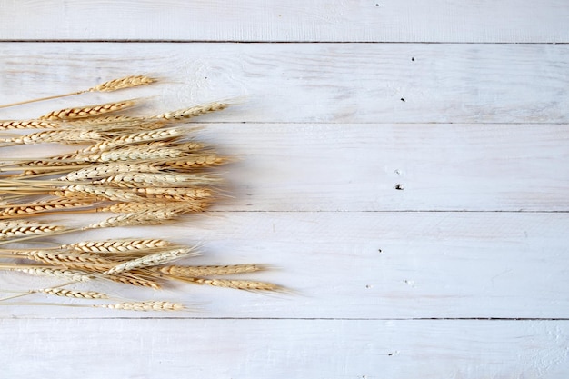 High angle view of corn on table