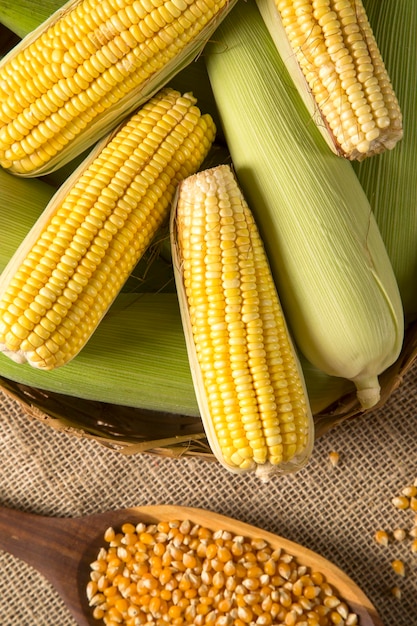 High angle view of corn on table