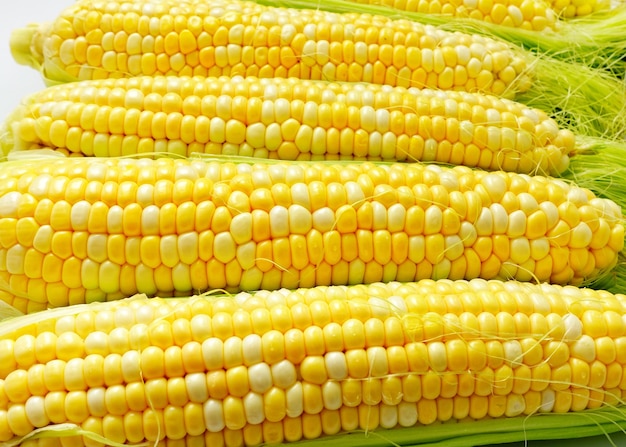 High angle view of corn