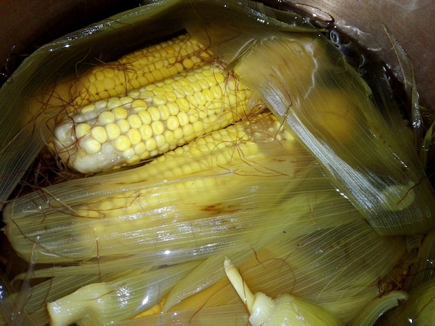 Photo high angle view of corn