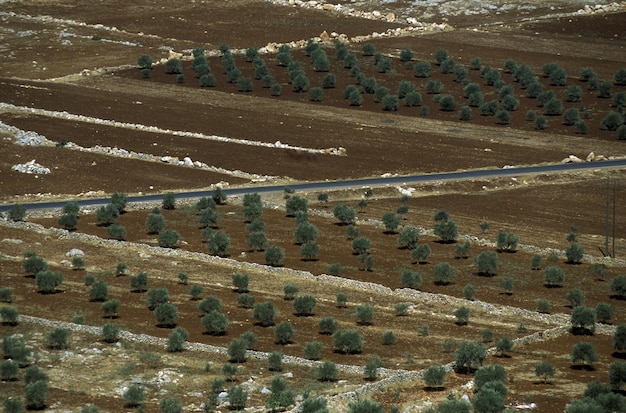 high angle view of country road amidst field