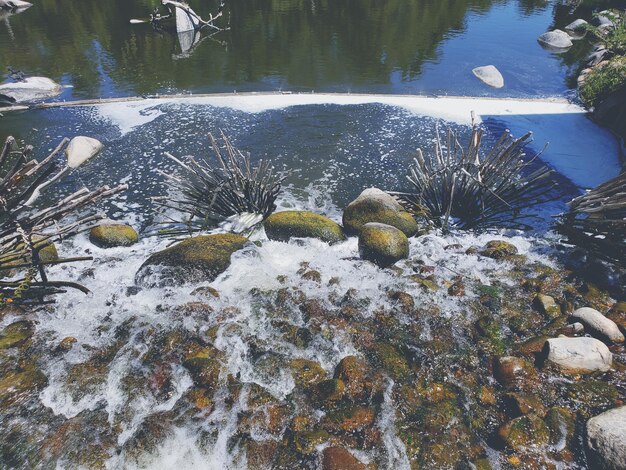 High angle view of crab in lake